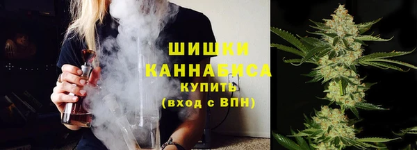 дмт Арсеньев