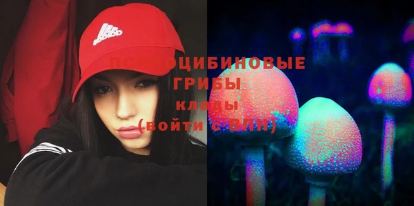 синтетический гашиш Новозыбков