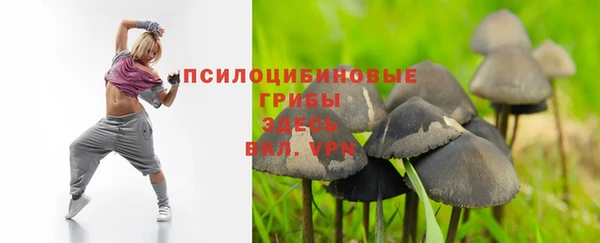 MDMA Premium VHQ Новокубанск
