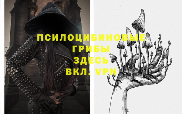 синтетический гашиш Новозыбков