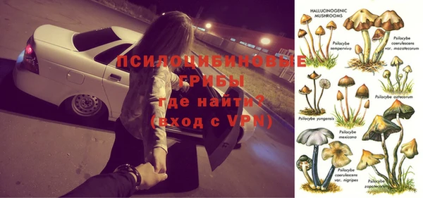 MDMA Premium VHQ Новокубанск