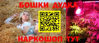 индика Бузулук