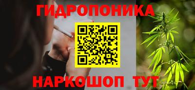 PSILOCYBIN Будённовск