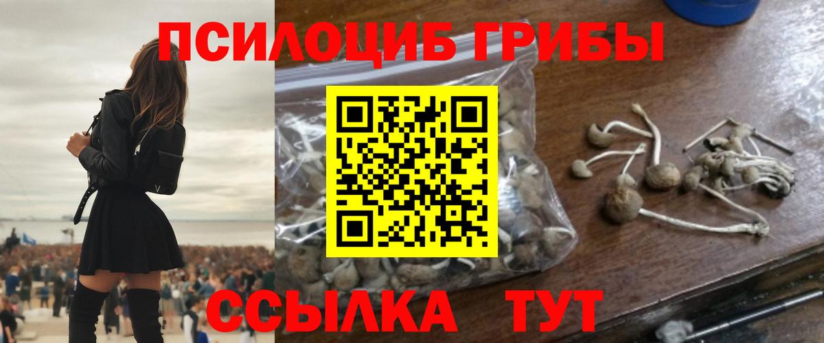 Галлюциногенные грибы Magic Shrooms Грязи